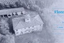 爱游戏中心-佛罗伦萨客场战平，险胜避免降级危机的简单介绍